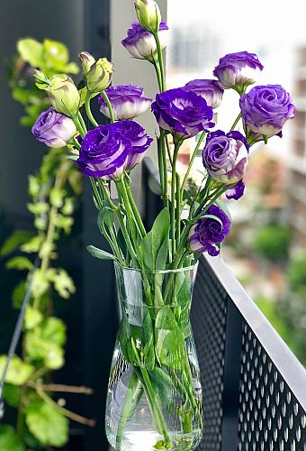 Warum ich stets zwei Blumensträusse kaufe. Wer folgt?