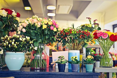 Steuertipps für Floristen